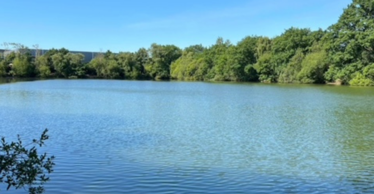 Starmers Lake