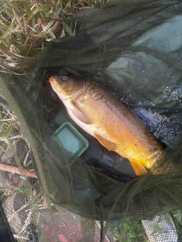 FB_IMG_1761428096657