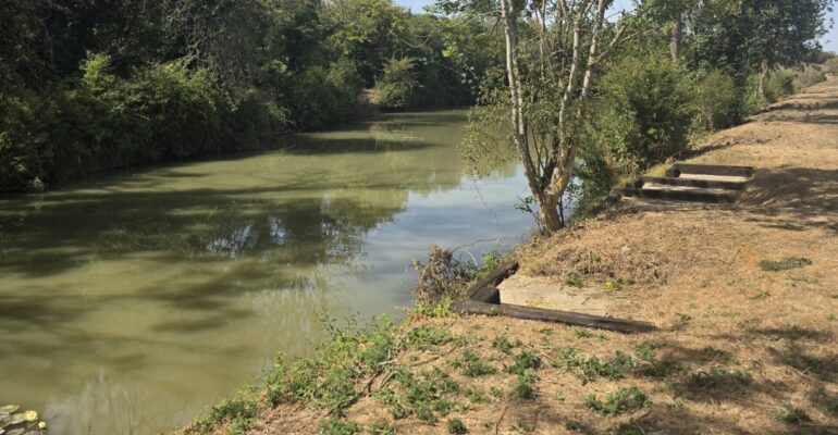 Brackenbury Lake